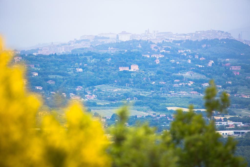 Agriturismo La Montagnola Torgiano Exteriér fotografie